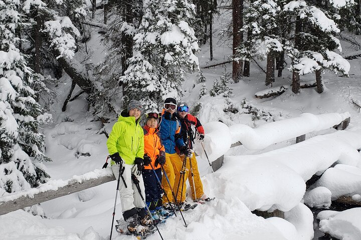 Snowshoe or XC Ski in North Yellowstone (Half Day) - Photo 1 of 10